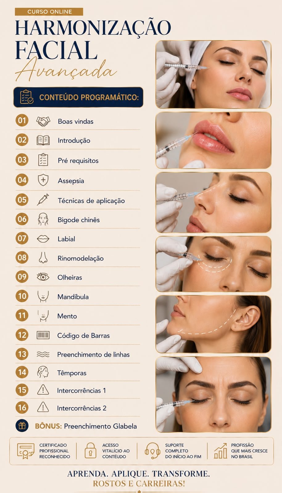 Conteúdo programático completo: 16 módulos (Boas-vindas, Introdução, Pré-requisitos, Assepsia, Técnicas de aplicação, Bigode chinês, Labial, Rinomodelação, Olheiras, Mandíbula, Mento, Código de barras, Preenchimento de linhas, Têmporas, Intercorrências 1 e 2), bônus Preenchimento de Glabela, certificado profissional, acesso vitalício, suporte completo e mais.